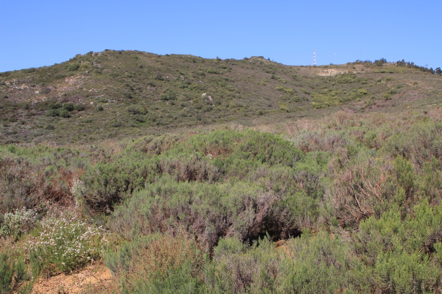 5 Bedroom Property for Sale in Stellenbosch Farms Western Cape